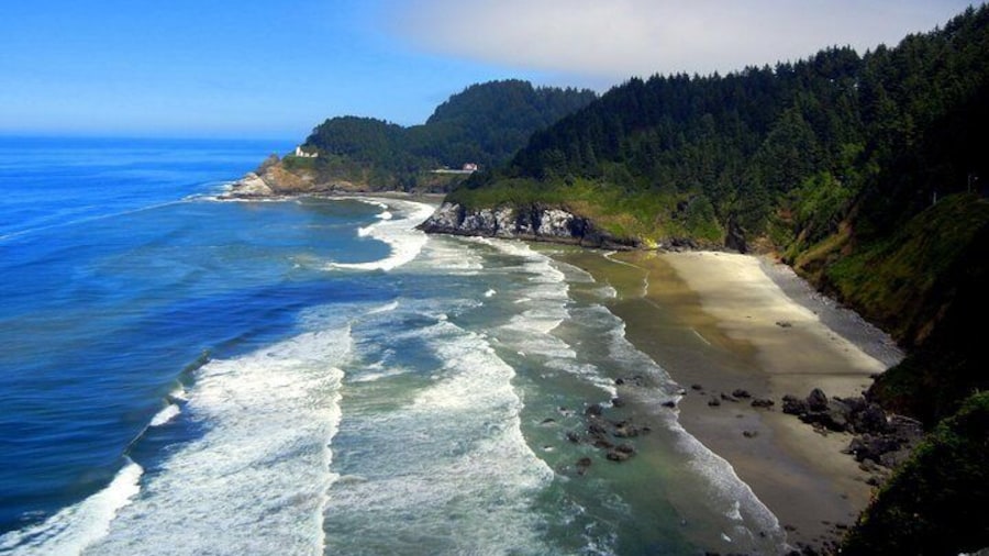 Oregon Coast View