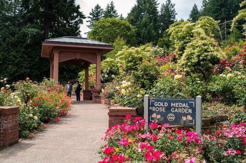 International Rose Test Garden