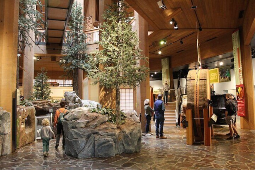 World Forestry Museum