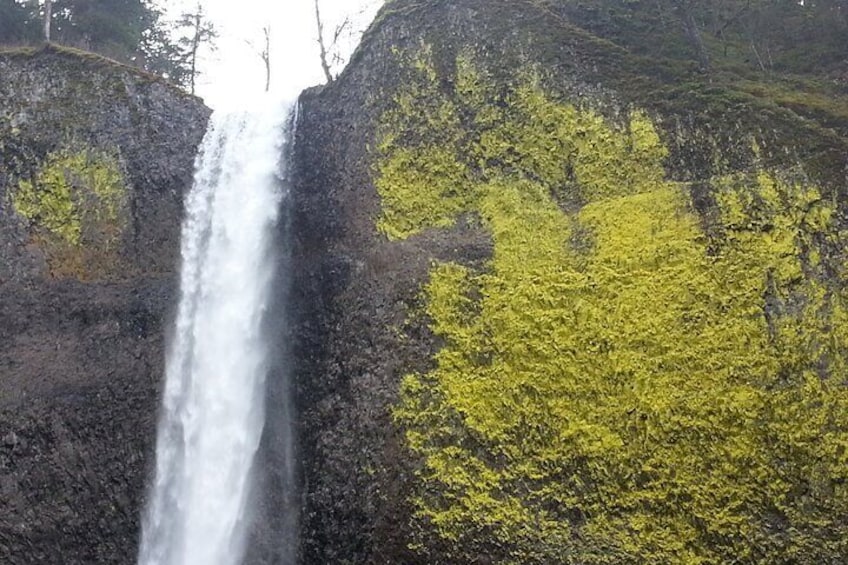 Afternoon Multnomah Falls and Gorge Waterfalls Tour