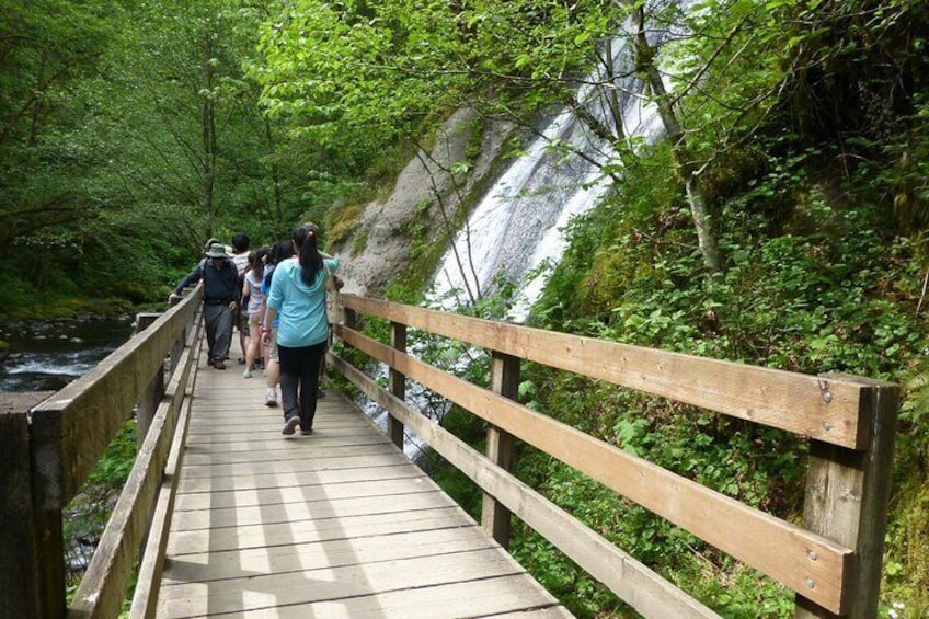 Afternoon Multnomah Falls and Gorge Waterfalls Tour