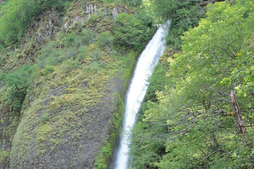 Afternoon Multnomah Falls and Gorge Waterfalls Tour