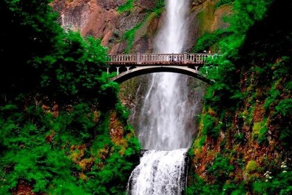Columbia River Gorge Waterfalls Tour from Portland