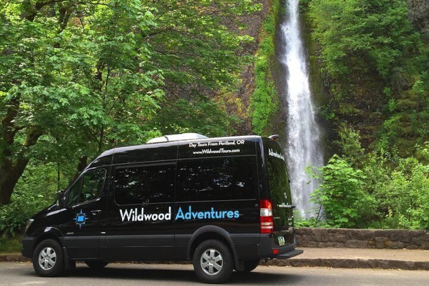 Wildwood Adventures at the Columbia River Gorge Waterfalls