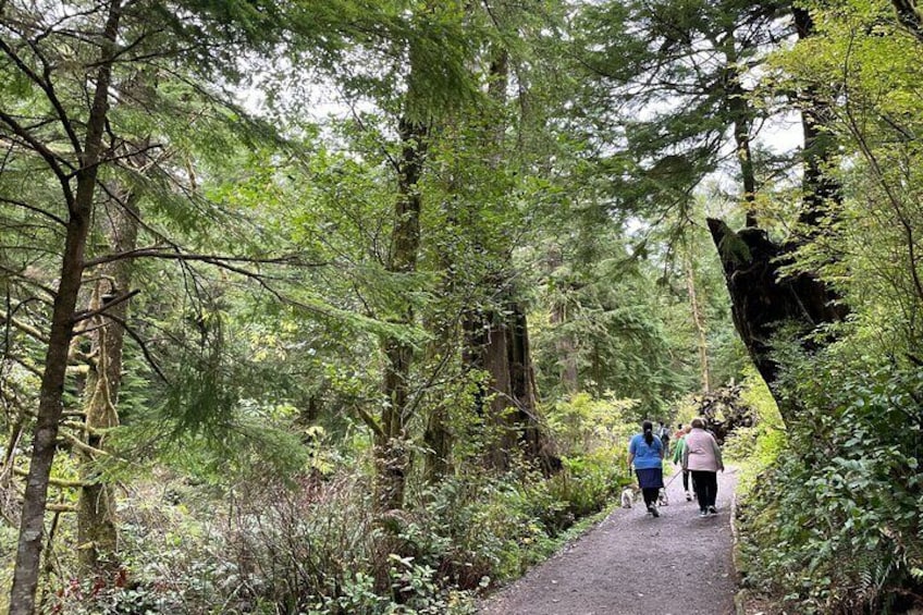 Hiking trail to Short Sands Beach