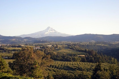 Columbia River Gorge Waterfalls and Mt Hood Tour from Portland