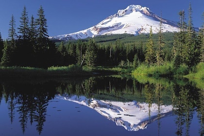 Columbia River Gorge Waterfalls and Mt Hood Tour from Portland