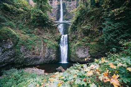 Private Morning Multnomah Falls and Gorge Waterfalls Tour