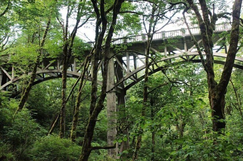 Morning Multnomah Falls and Gorge Waterfalls Tour