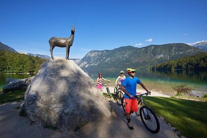 Self-guided Cycling Tour from Pokljuka to Lake Bohinj 