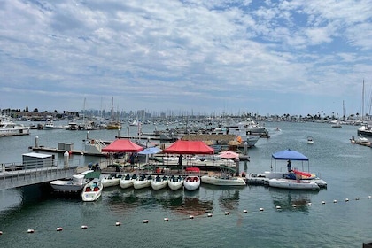 1 HOUR Eco Pedal Boat Rental in San Diego Bay