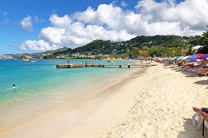 Halvdag Grenada Island liten grupp sightseeingtur