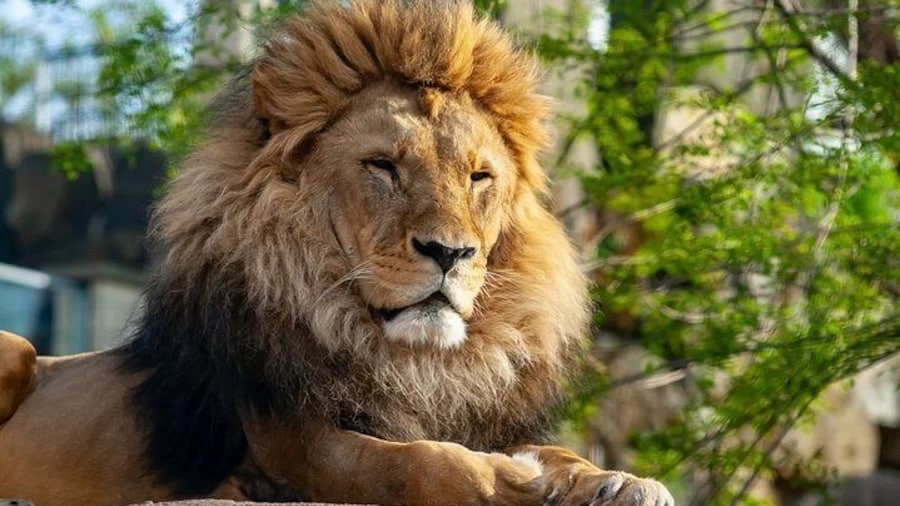 Gdansk: Oliwa Zoo with Private Transport and Tickets