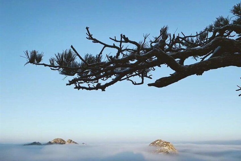 Private 3-day Tour featuring Hiking in Mt.Huangshan & Tunxi Ancient Street
