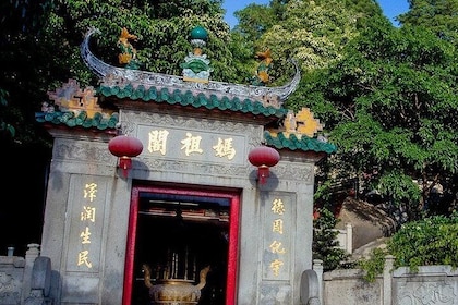 Macau Life Style Tour - LINE D