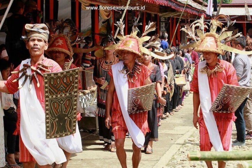 Toraja Tour and culture life at village - 7 days / min 2pax 