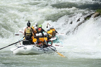 Half Day Rogue River White Water (Class I- IV)