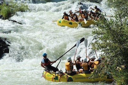 Half Day Rogue River White Water (Class I- IV)