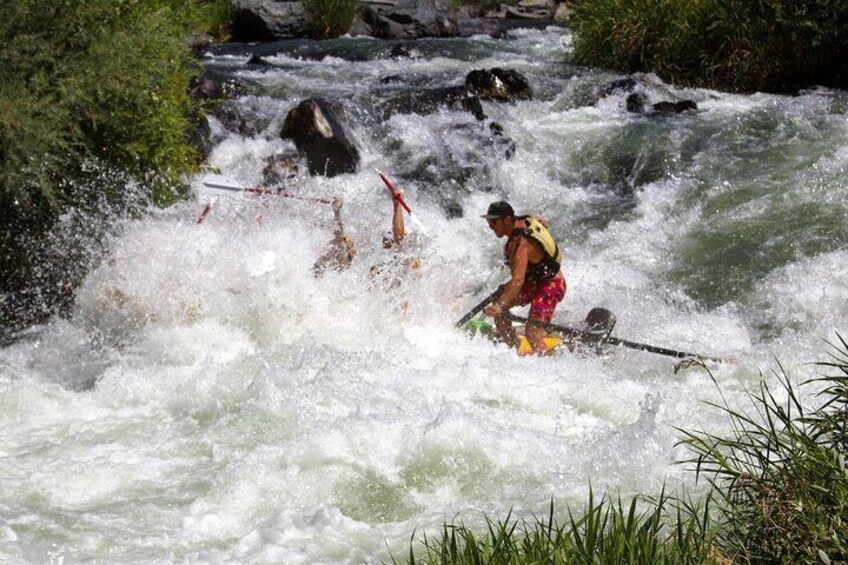 Half Day Rogue River White Water (Class I- IV)