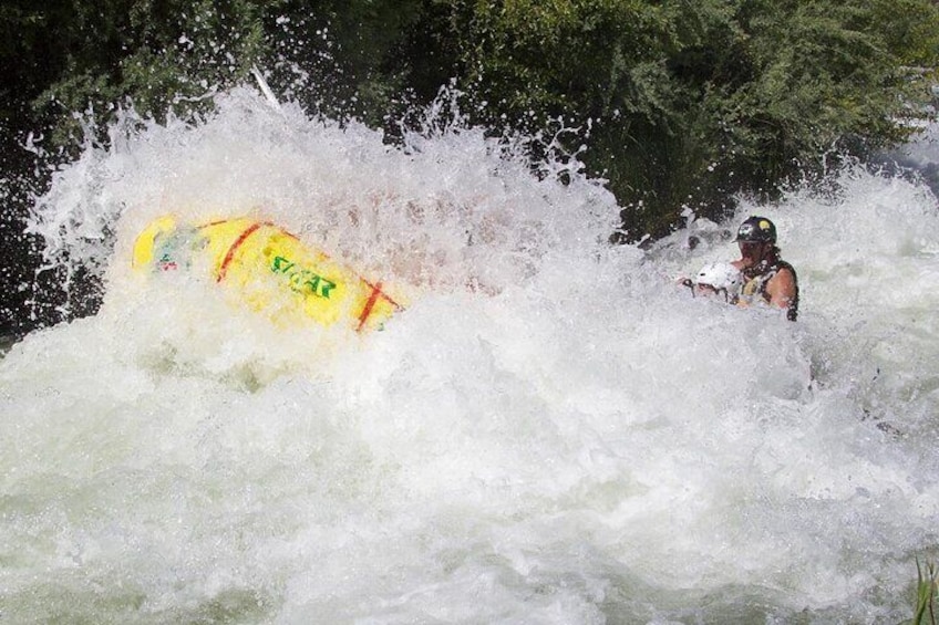 Half Day Rogue River White Water (Class I- IV)