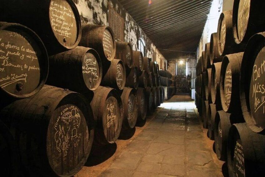 Cadiz Shore Excursion: Jerez & Cadiz Easy Accessible private tour & wine cellars