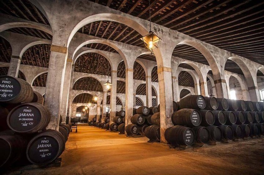 Cadiz Shore Excursion: Jerez & Cadiz Easy Accessible private tour & wine cellars