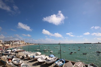 Cadiz Shore Excursion: Jerez & Cadiz Easy Accessible private tour & wine ce...