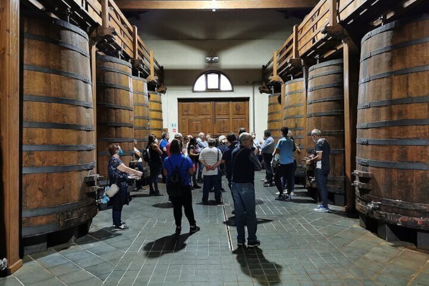 Winery tour