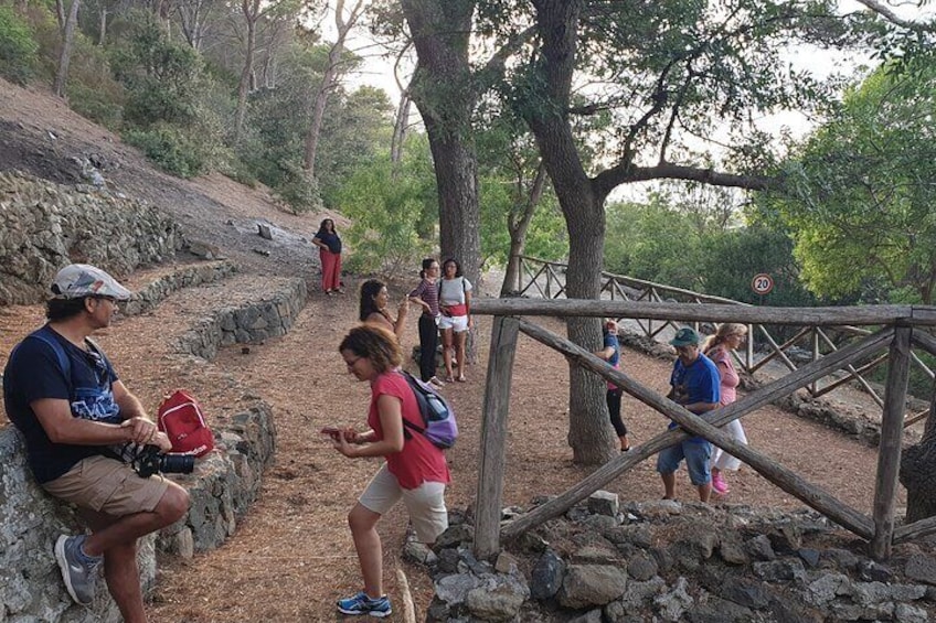 Naturalistic excursion to Ustica