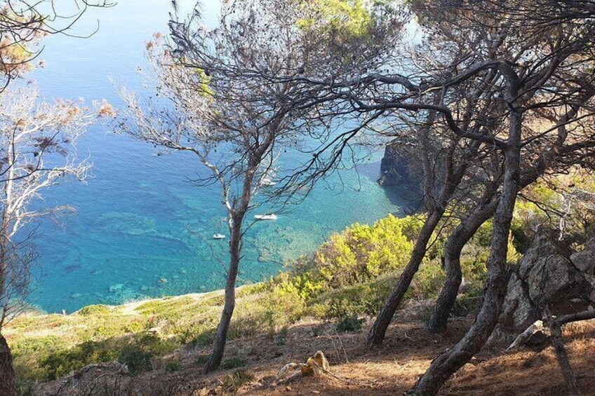 Naturalistic excursion to Ustica