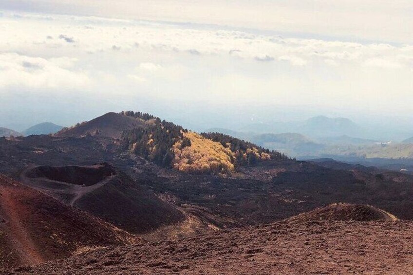 Private Tour Etna and Taormina from Catania