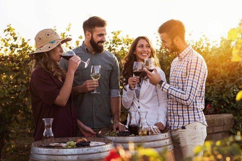 Hunter Valley Highlights Private Wine Tour from Sydney 