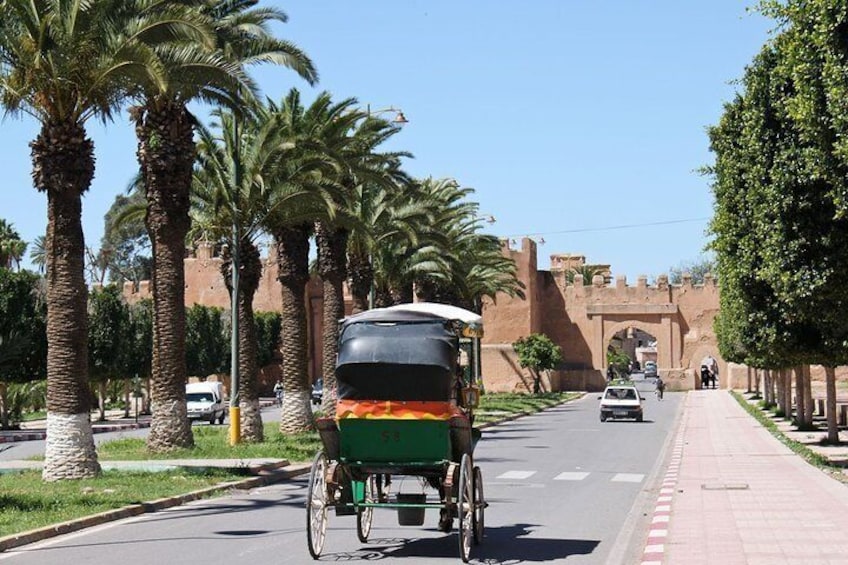 Taroudant + Tiout excursion 1 day with homestay lunch from agadir