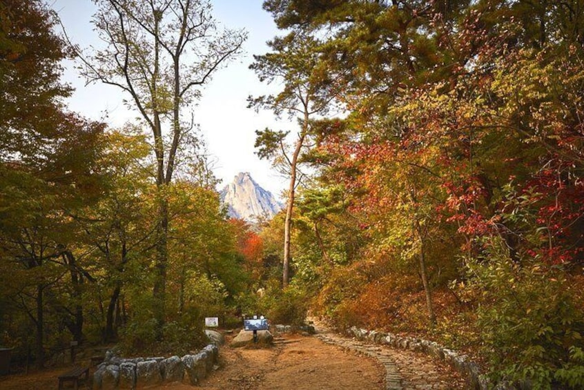 Bukhansan Mountain Hiking Private Tour including Jjimjilbang & Spa,Korean BBQ