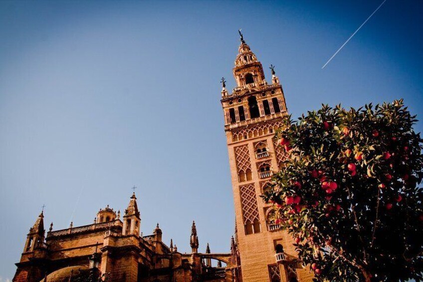 Seville on two wheels. Private tour
