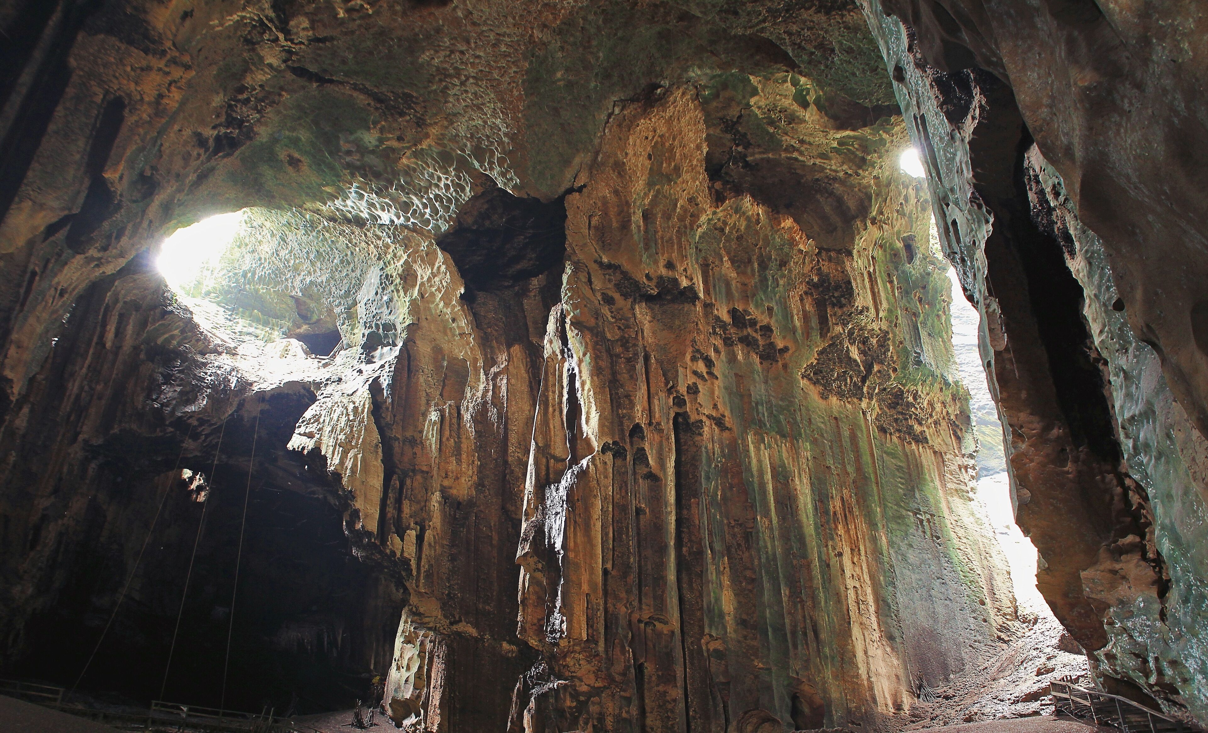 Private Gomantong Cave & Kinabatangan River Cruise