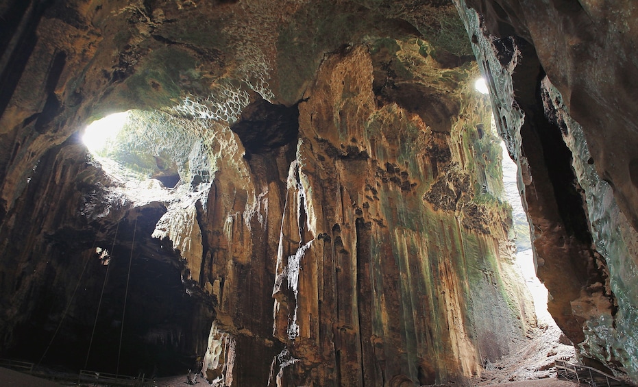 Private Gomantong Cave & Kinabatangan River Cruise