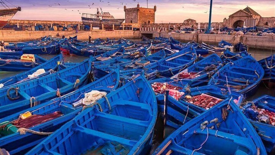 Essaouira excursion 1 day departure from Agadir