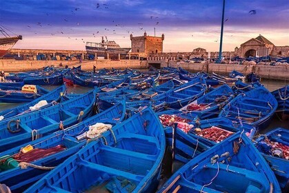 Essaouira excursion 1 day departure from Agadir