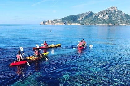 Explore the island of Dragonera with a kayak and by foot
