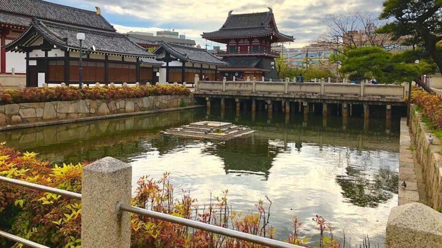 2 Hours Private Guided Walking Tour in Osaka