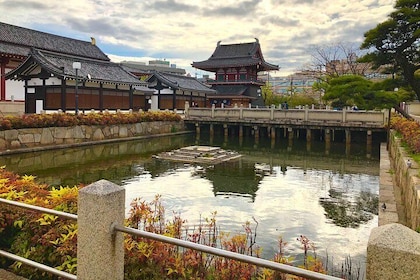 2 Hours Private Guided Walking Tour in Osaka