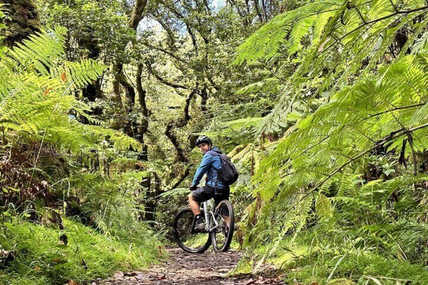 Easy Levada Biking Tour
