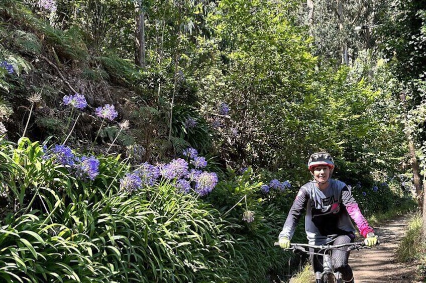 Easy Levada Biking Tour