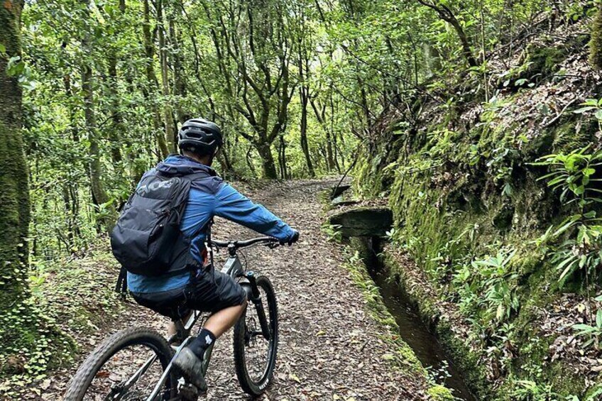 Easy Levada Biking Tour