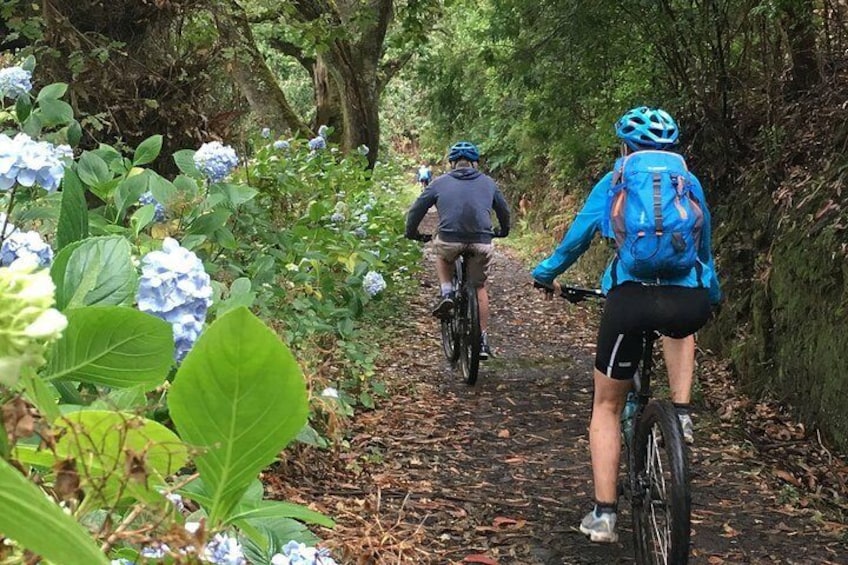 Mountain Biking Tour - Cross Country Levada da Serra