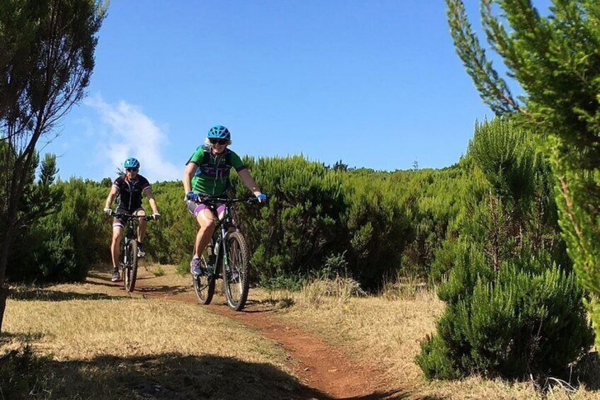 Mountain Biking Tour - Cross Country Levada da Serra