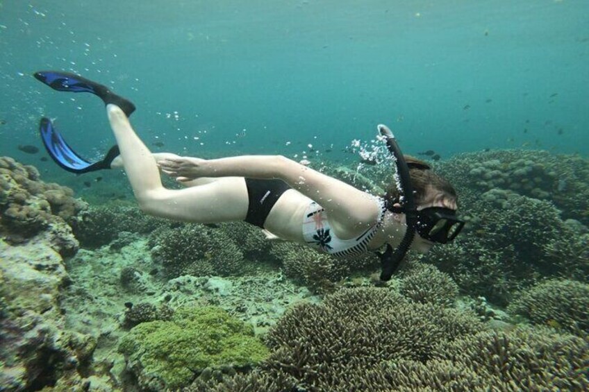 Three Islands Snorkeling Trip (3 Spots) from Lembongan (LT)