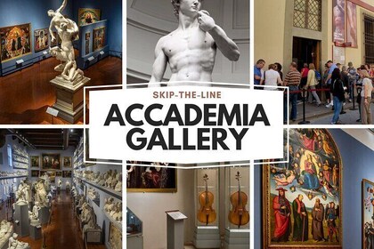 Small-group Accademia tour with skip-the-line access to David