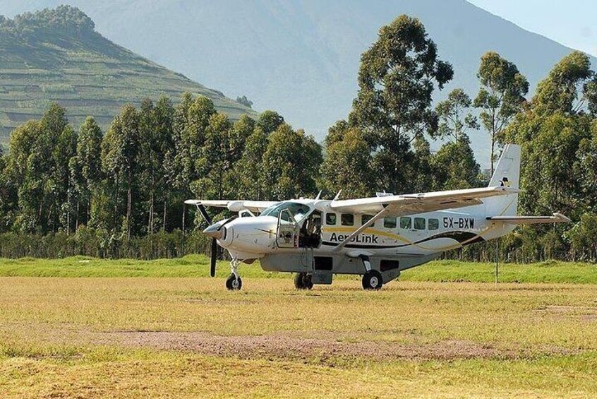 9 Day Fly-in Premier Wildlife and Gorilla Safari Retreat Uganda
